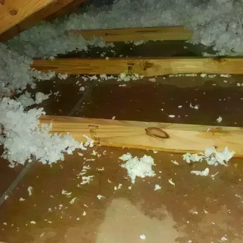 Attic Water Damage in Eatonville, WA